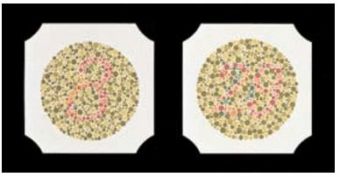 Ishihara 24 testov